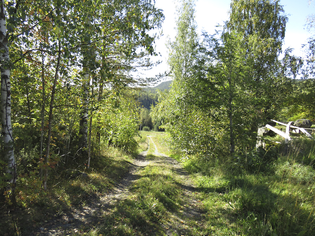 höst